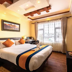 book here